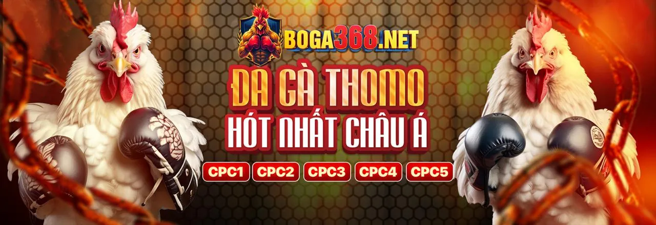 Đá gà kịch tính tại ae8vip link mới